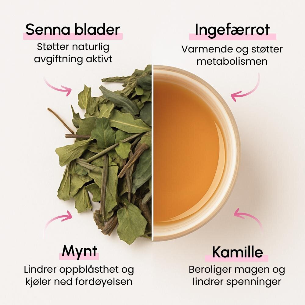 BRYO image